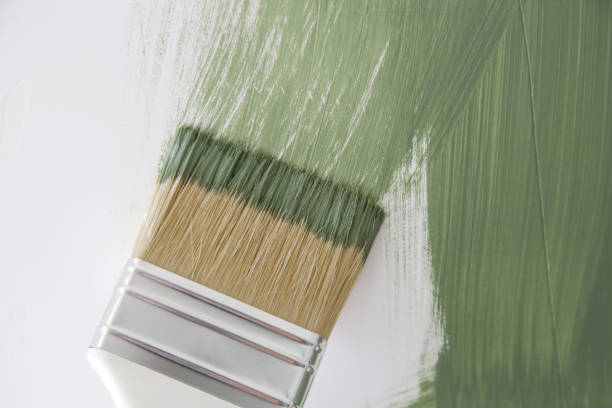 Best Water Damage & Mold Remediation  in Rosaryville, MD