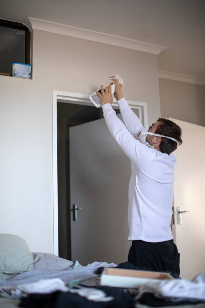  Rosaryville, MD Mold Removal Pros