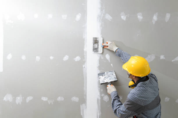 Biohazard Mold Removal in Rosaryville, MD