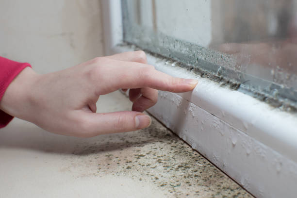 Best Post-Remediation Verification Testing  in Rosaryville, MD