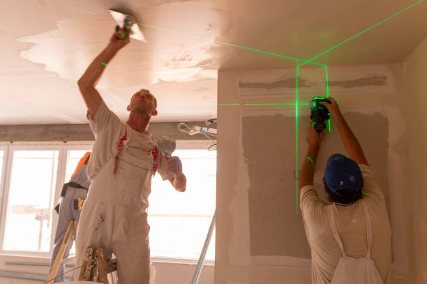 Best Black Mold Removal  in Rosaryville, MD