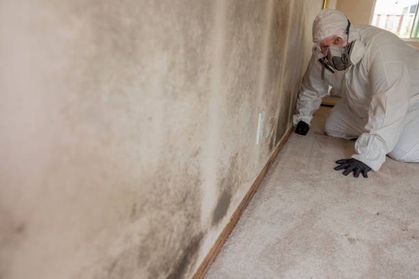 Best Comprehensive Air Testing for Mold Contaminants  in Rosaryville, MD