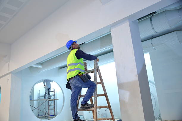Best Mold Odor Removal Services  in Rosaryville, MD