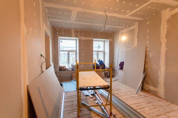 Rosaryville, MD Mold Removal Company