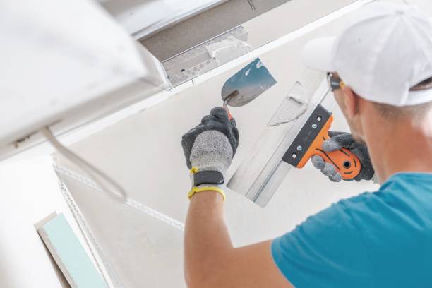 Best Mold Documentation for Insurance Claims  in Rosaryville, MD